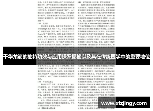 千华龙筋的独特功效与应用探索揭秘以及其在传统医学中的重要地位